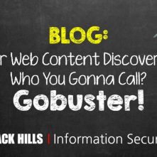 For Web Content Discovery, Who You Gonna Call? Gobuster!