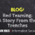 Red Teaming: A Story From the Trenches